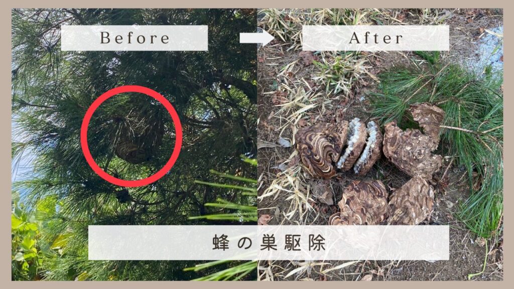 蜂の巣駆除