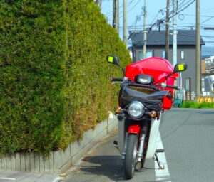 多摩市で生け垣の剪定