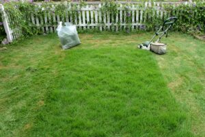 多摩市で芝刈り